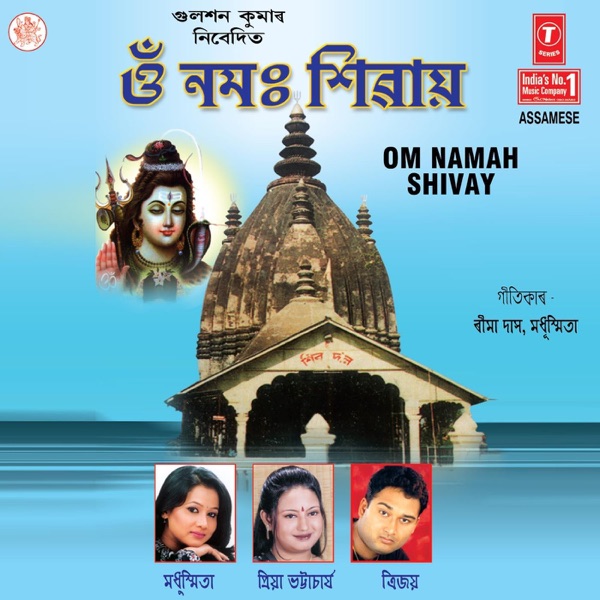 Om Namah Shivay