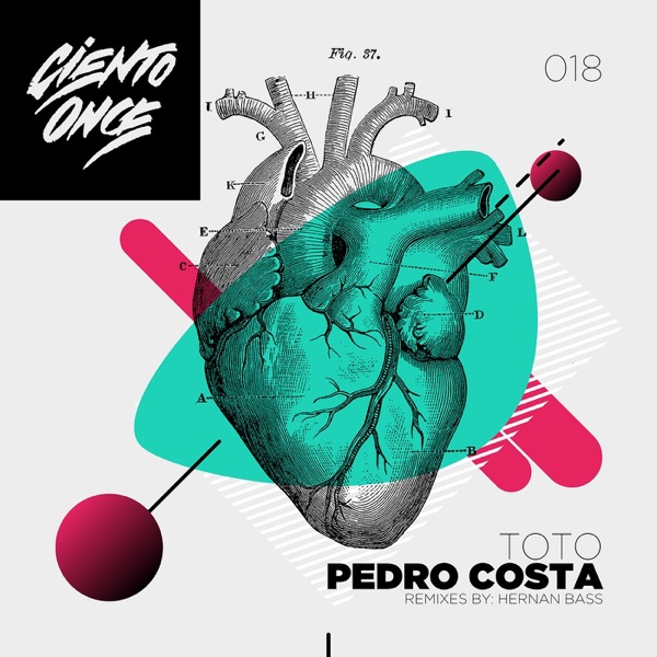 Toto - Single