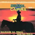 Sou Caipira Mais Não Sou Besta