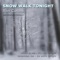 Snow Walk Tonight (feat. Amanda Camburn) - Ron Collins lyrics