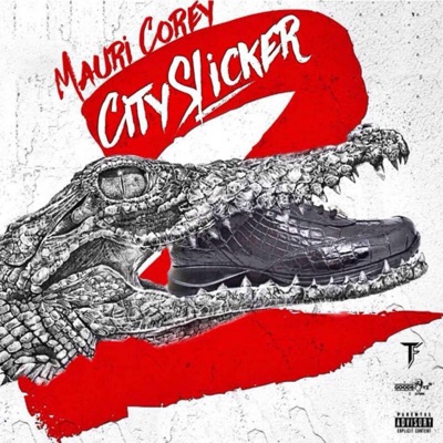 City Slicker 2