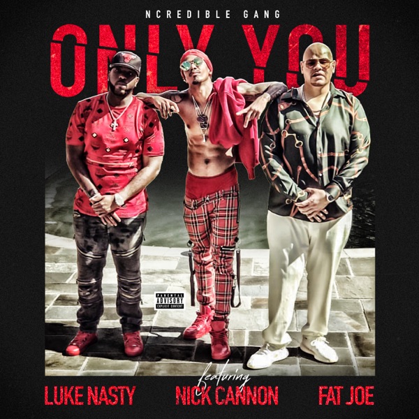 Only You (feat. Nick Cannon, Fat Joe & DJ Luke Nasty) - Single - Ncredible Gang