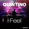 I Feel (Bassjackers Remix) - Quintino lyrics