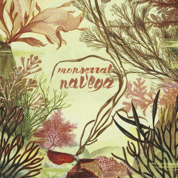 Navega