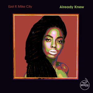Already Knew (feat. Mike City)