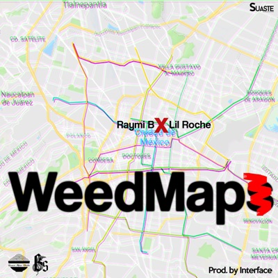 Weedmap (feat. Lil Roche) - Single