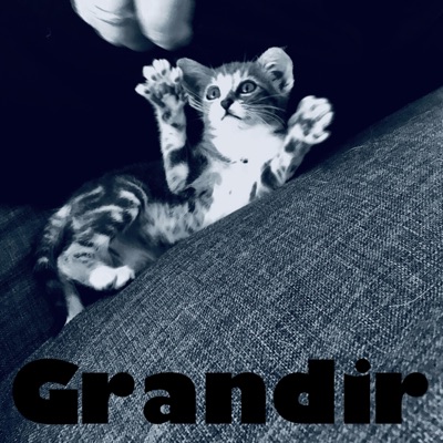 Grandir (feat. Valentine) - Single