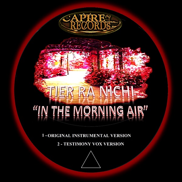 In the Morning Air - Single
