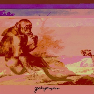 goodnightdaydream.