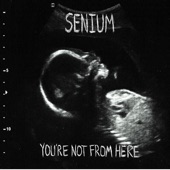 Senium - Might As Well