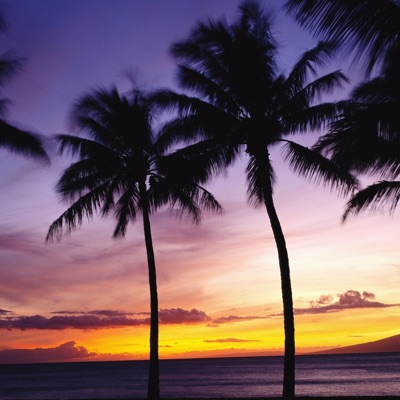 Tropical Evening - Single