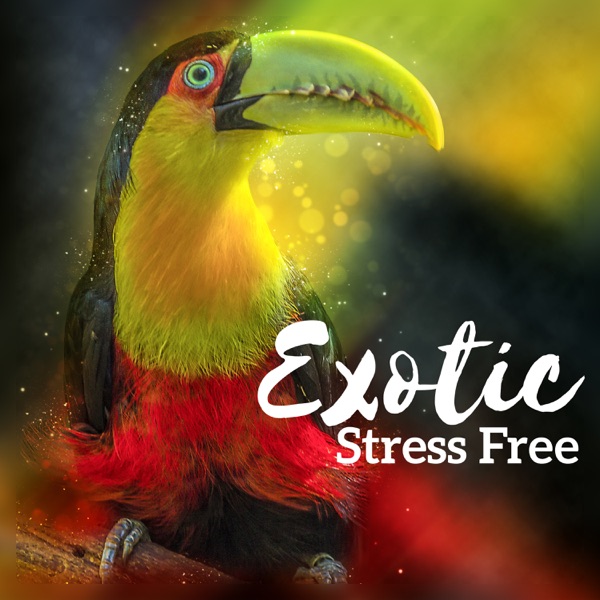 Exotic Stress Free: Music Spa, Tropical Healing, Harmony Eden, Wild Serenity, Amazonian Massage