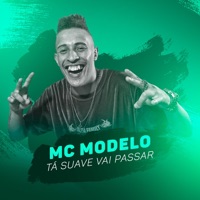 Tá Suave Vai Passar - Single - MC Modelo