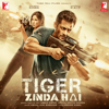 Dil Diyan Gallan - Atif Aslam