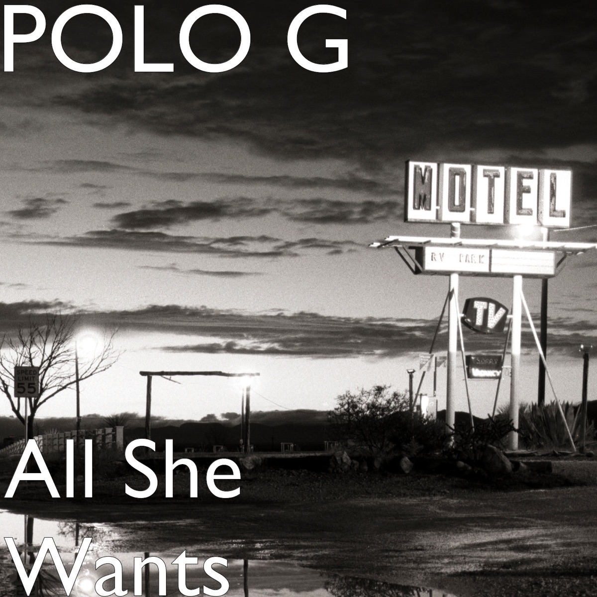 Gang WithMe - Single - Album by Polo G - Apple Music