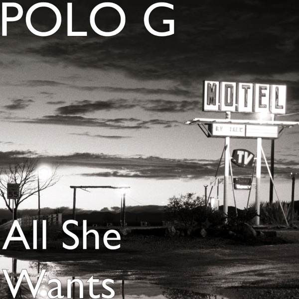 All She Wants - Single - Polo G