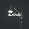 Stream & download Darkness