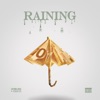 Raining (feat. Stacccs) - Single