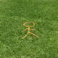 Baby Carrots