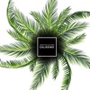 Under the Palm Trees - Single