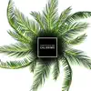 Under The Palm Trees
