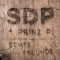 Echte Freunde (feat. Prinz Pi) [Radio Edit] - SDP lyrics