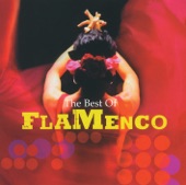 Flamenco Highlights (International Version) artwork