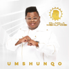 Umshunqo - Dladla Mshunqisi