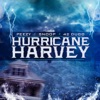 Hurricane Harvey (feat. Peezy & 42 Dugg) - Single