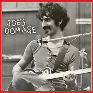 Album herunterladen Frank Zappa - Joes Domage