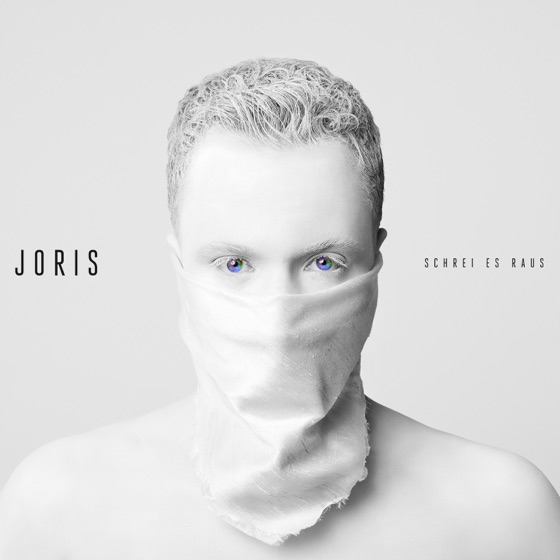 Cover artwork for Du