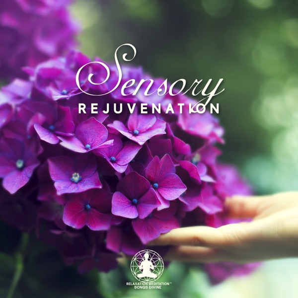Sensory Rejuvenation - Soothing Sounds for Massage & Yoga, Wellness Therapy, Healing of Body, Mind and Spirit