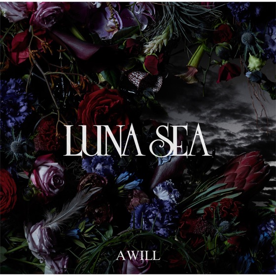 Cover artwork for The End of the Dream