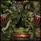 Dust on the Shelf - Get Greens lyrics