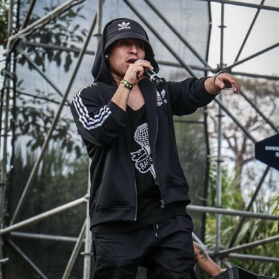 Los Toros Se Ven de Lejos - Single