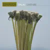Stream & download Einaudi: Divenire - Single
