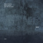 Ralph Towner, Eddie Gomez & Jack DeJohnette - Waterwheel