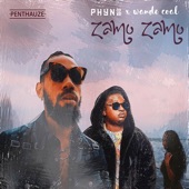 Zamo Zamo (feat. Wande Coal) artwork