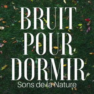 Bruit pour dormir : Sons de la Nature