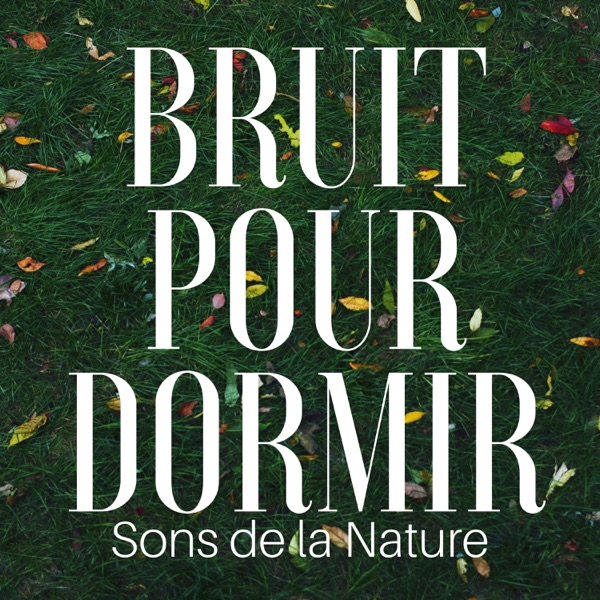 Bruit pour dormir : Sons de la Nature