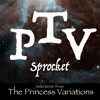 Selections from the Princess Variations - EP