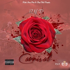 Carnival RNP