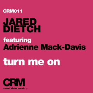 Turn Me On (feat. Adrienne Mack-Davis) - Single