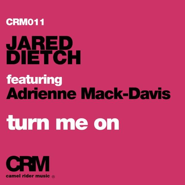 Turn Me On (feat. Adrienne Mack-Davis) - Single