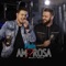 Vida Amorosa (feat. Maiara & Maraisa) - Douglas e Henrique lyrics