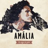 Angelo Freire - Amália