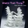 What's That Thing?