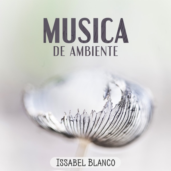 Música de Ambiente