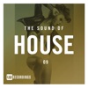 The Sound of House, Vol. 09