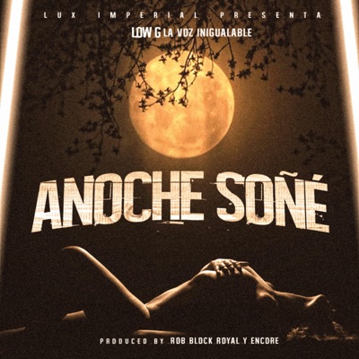 Anoche Soñé - Single